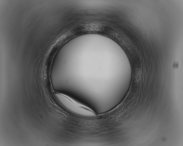 X0000097760731200803281633