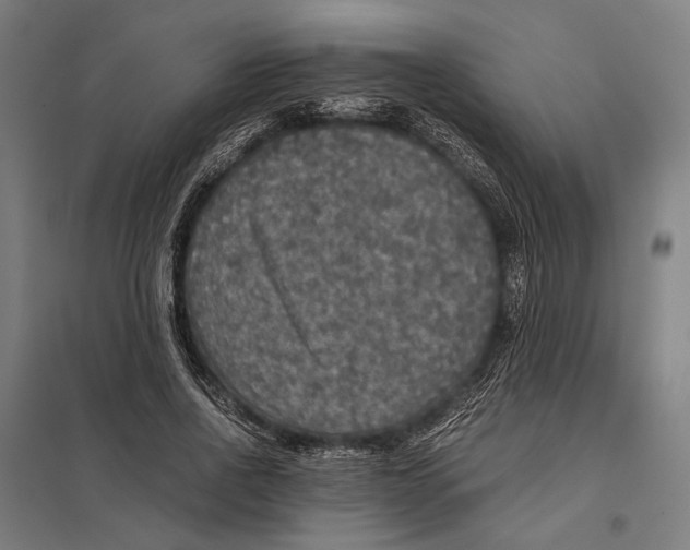 X0000097760734200803281633