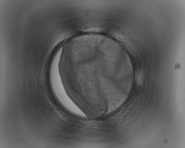 X0000097760735200803281633