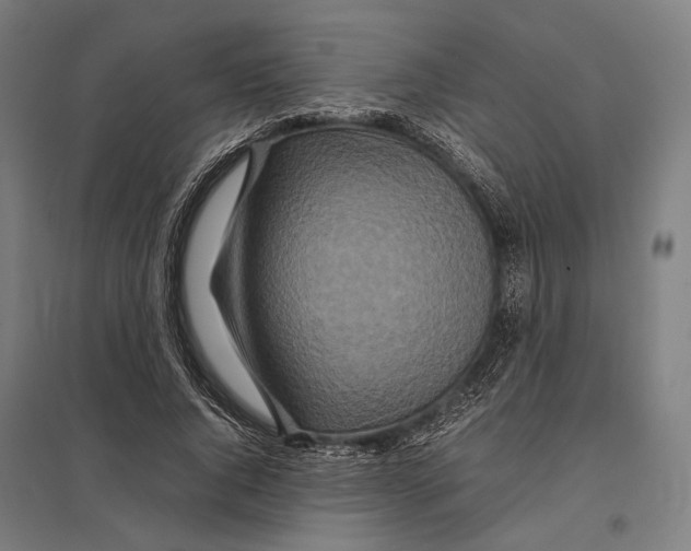 X0000097760736200803281633