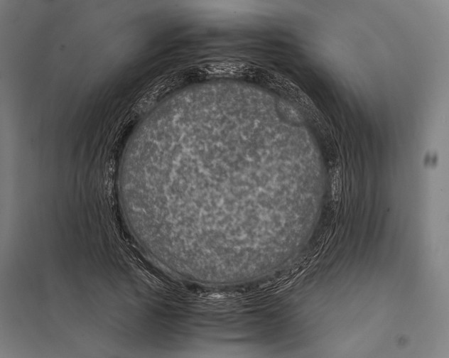 X0000097760737200803281633