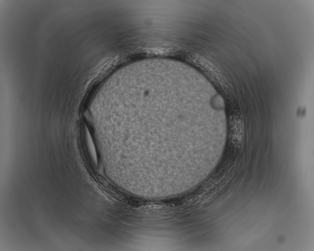 X0000097760738200803281633