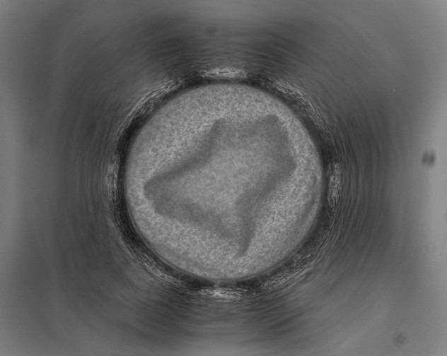 X0000097760739200803281633