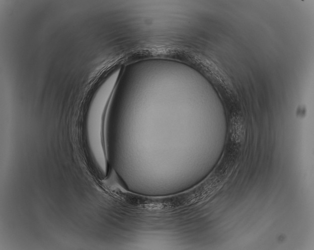 X0000097760740200803281633