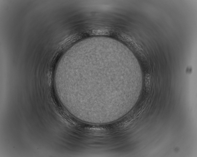 X0000097760741200803281633