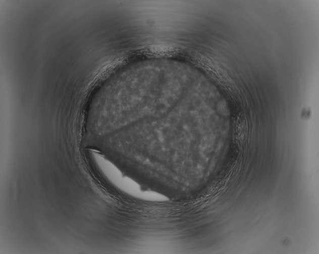 X0000097760742200803281633