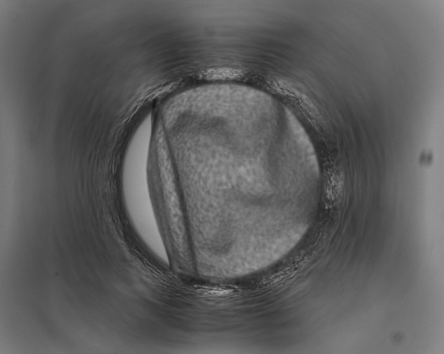 X0000097760743200803281633