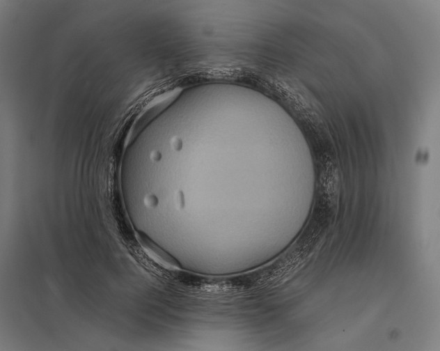 X0000097760744200803281633