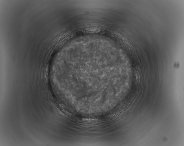 X0000097760745200803281633