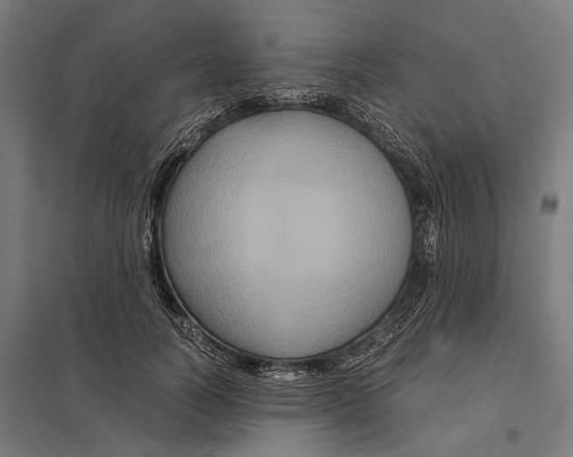 X0000097760746200803281633