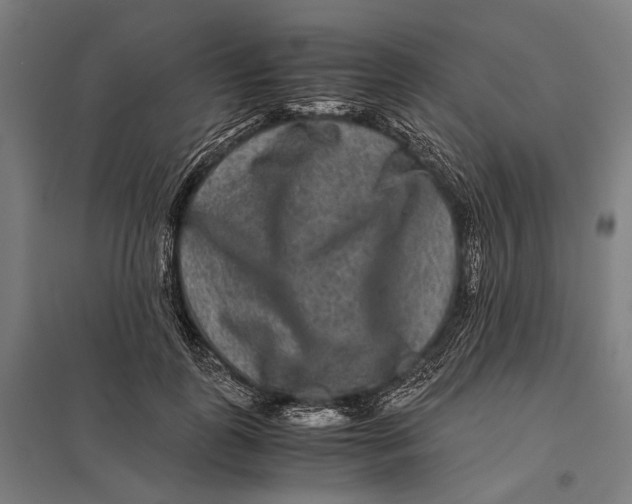 X0000097760747200803281633