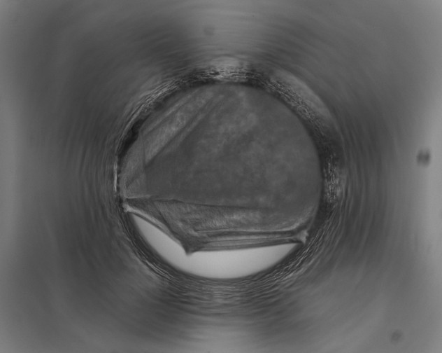 X0000097760748200803281633