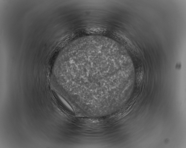 X0000097760749200803281633