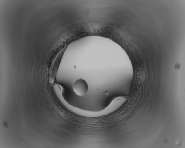 X0000097760750200803281633