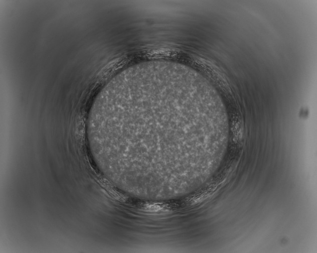 X0000097760753200803281633