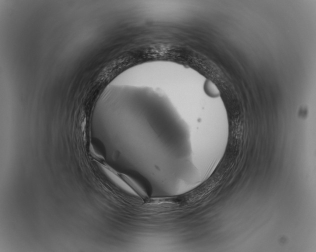 X0000097760754200803281633