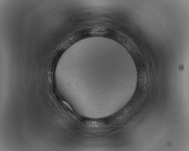 X0000097760755200803281633