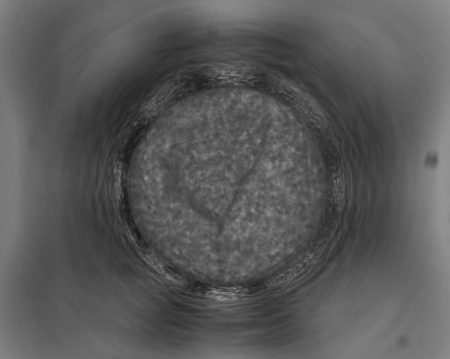 X0000097760757200803281633