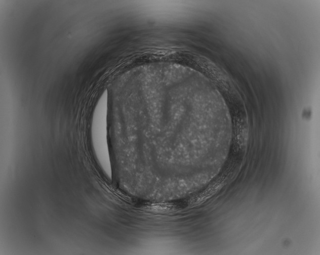 X0000097760758200803281633