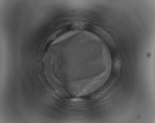 X0000097760759200803281633