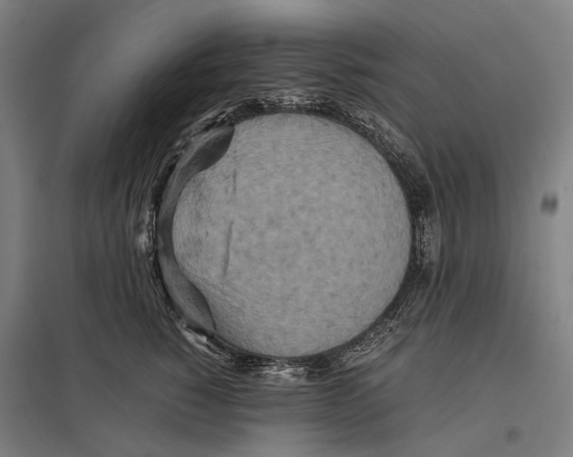 X0000097760760200803281633