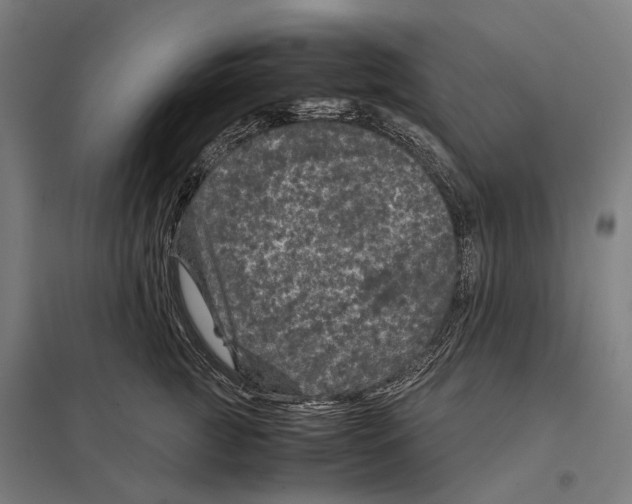 X0000097760761200803281633