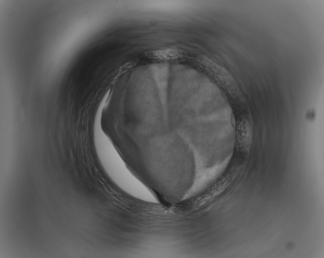 X0000097760762200803281633