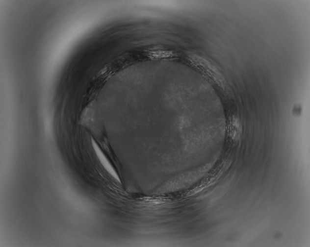 X0000097760763200803281633