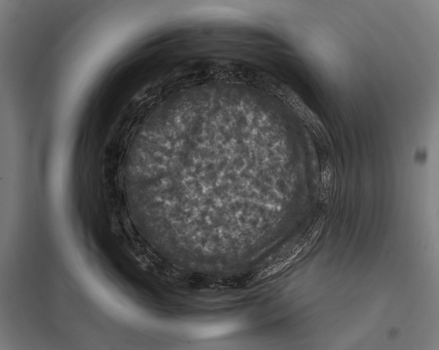 X0000097760765200803281633