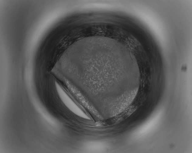 X0000097760766200803281633