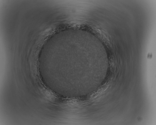 X0000097760769200803281633