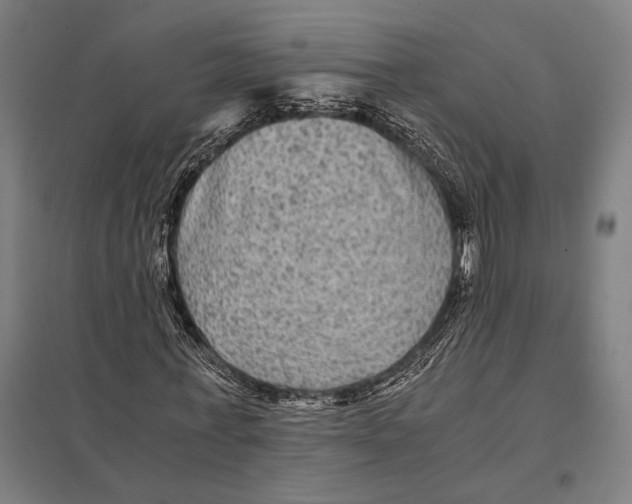 X0000097760771200803281633