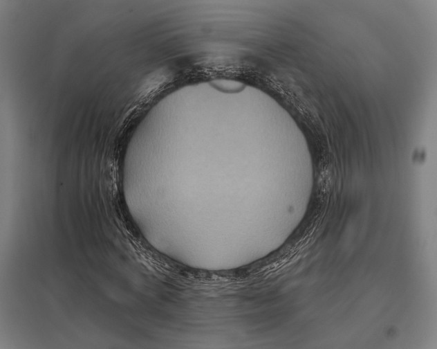 X0000097760772200803281633