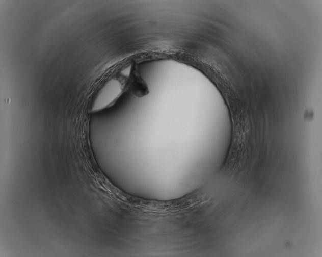 X0000097760773200803281633