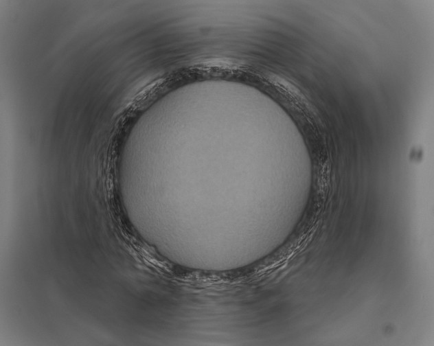 X0000097760774200803281633