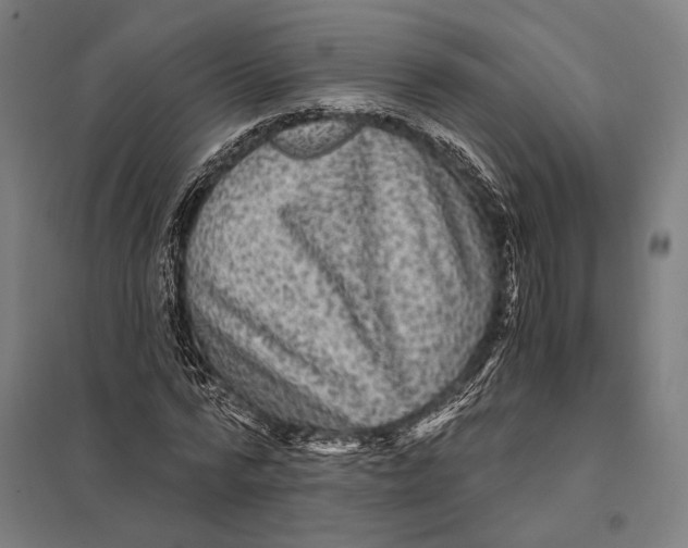 X0000097760776200803281632