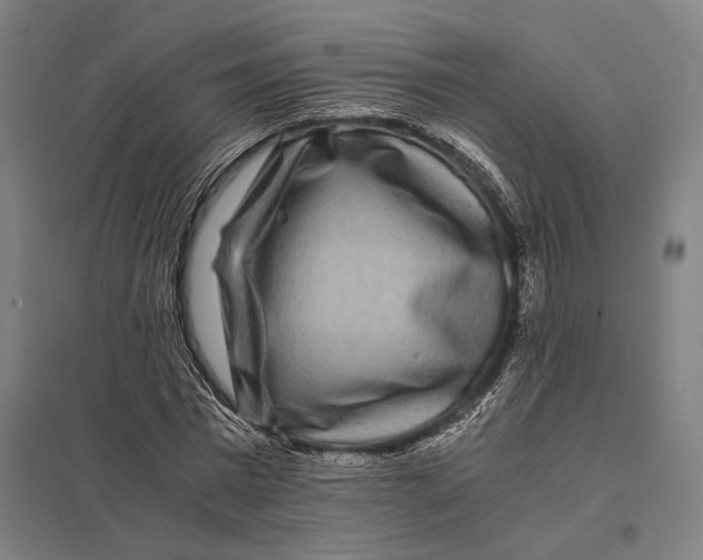 X0000097760777200803281632