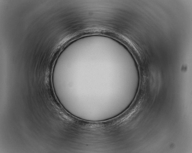 X0000097760778200803281632