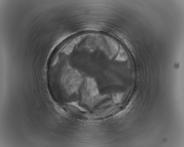 X0000097760779200803281632