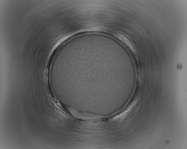 X0000097760781200803281632