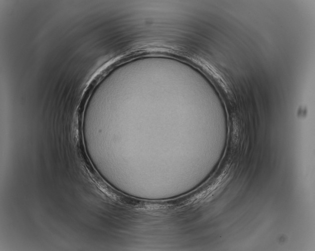 X0000097760782200803281632