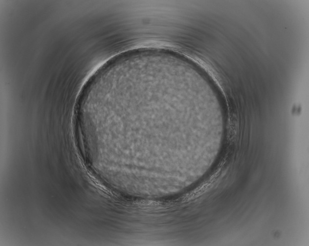 X0000097760783200803281632