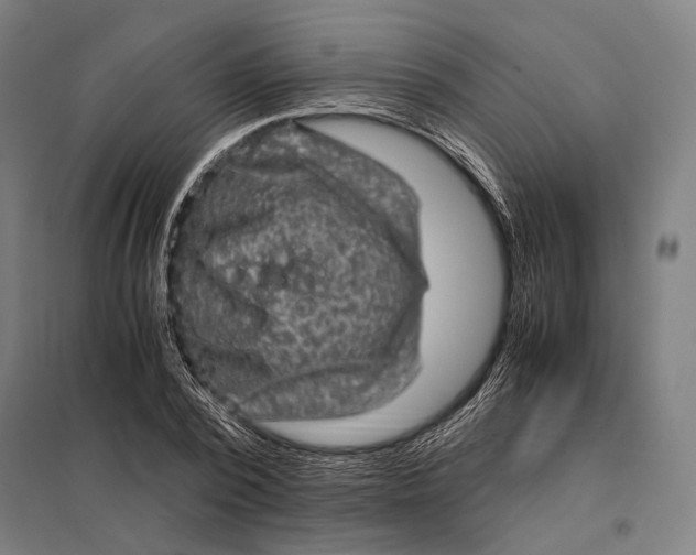 X0000097760784200803281632