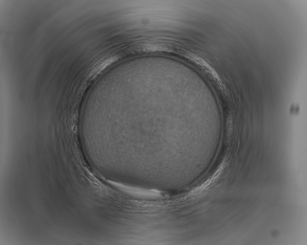 X0000097760785200803281632