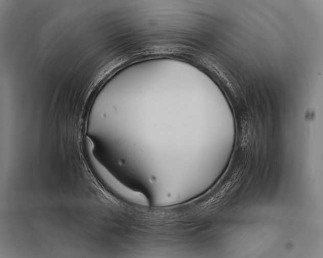 X0000097760786200803281632