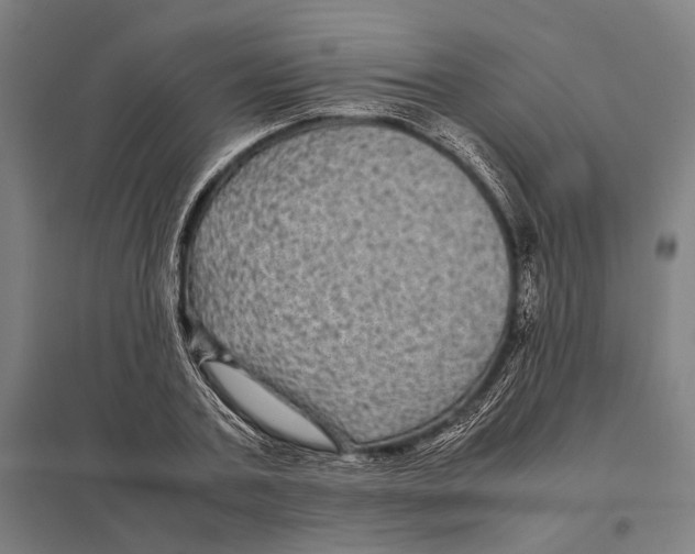 X0000097760787200803281632