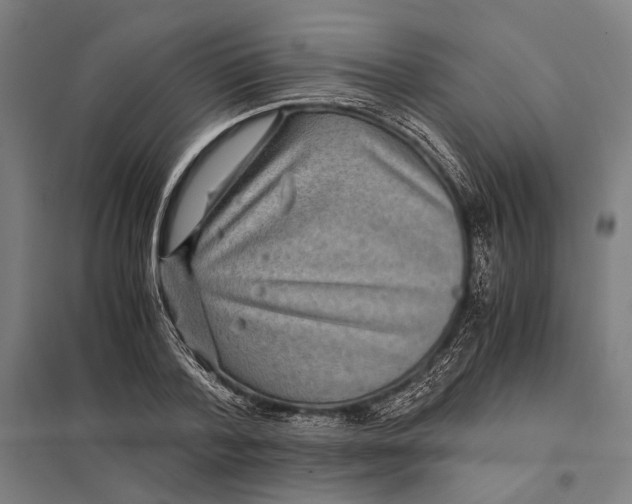 X0000097760788200803281632