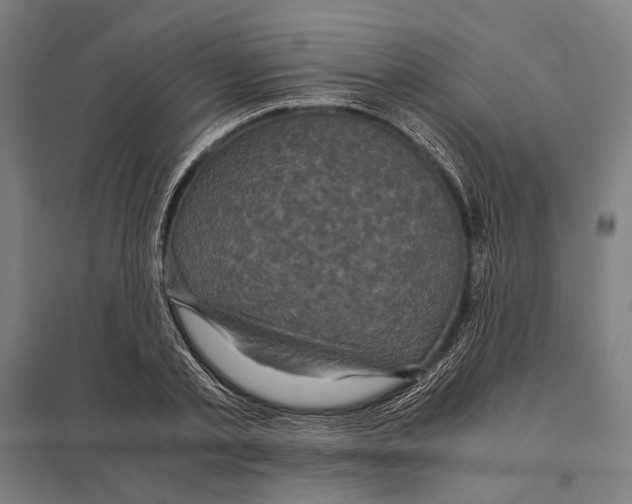 X0000097760789200803281632