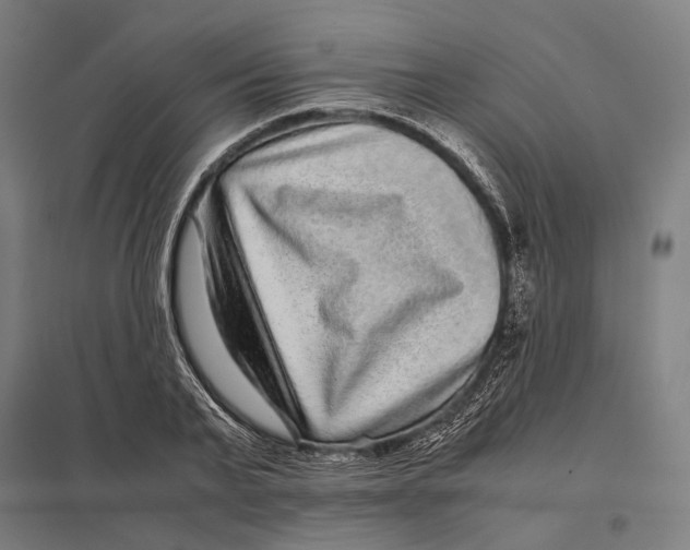 X0000097760791200803281632