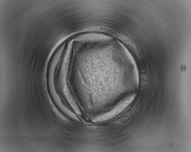 X0000097760792200803281632